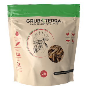 GrubTerra Dried Larvae