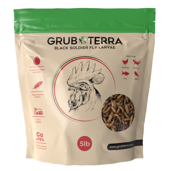 GrubTerra Dried Larvae