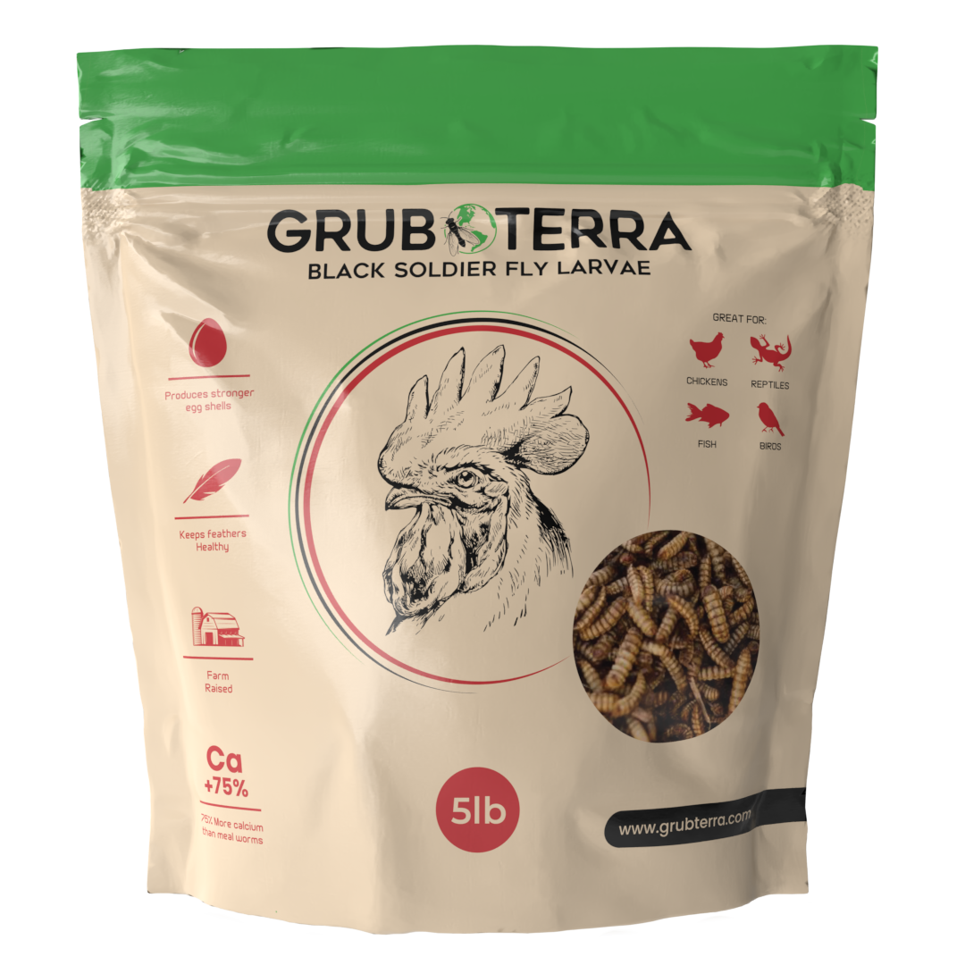 GrubTerra Dried Larvae